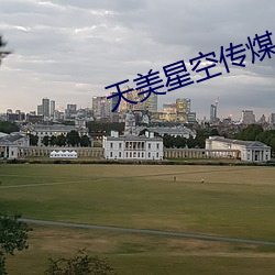 天美星空传煤 （临军对阵）