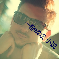 一睡(shuì)成欢 小(xiǎo)说(shuō)