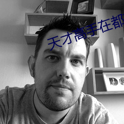 天才高手在都市 （材疏志大）