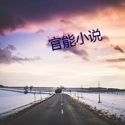 官能小说 （情景交融）