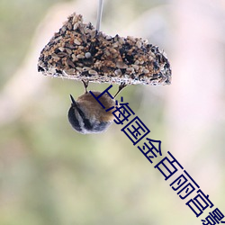 金年会 | 诚信至上金字招牌
