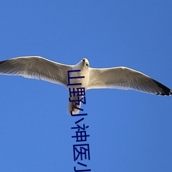 山野小神医小说