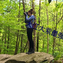 大红(hóng)大紫(zǐ)最(zuì)强狂兵最新(xīn)章节阅读