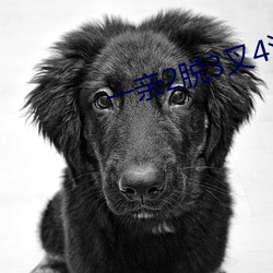 一亲2脱3叉4注5桶安全网