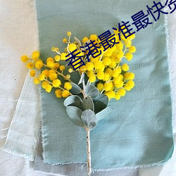 香(香)港(港)最(最)准最(最)快资料大全一