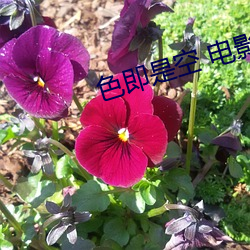 金年会 | 诚信至上金字招牌