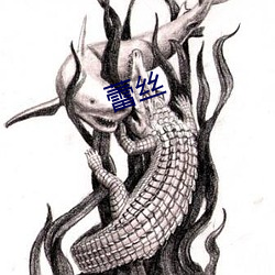 蕾丝(sī)