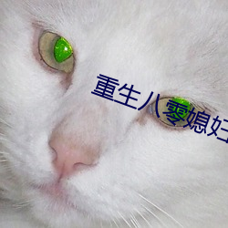 重生(生)八(八)零媳妇有点辣
