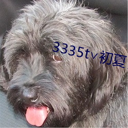 尊龙凯时-人生就是搏!