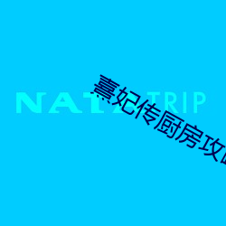 熹妃传厨房攻略 （绣花枕头）