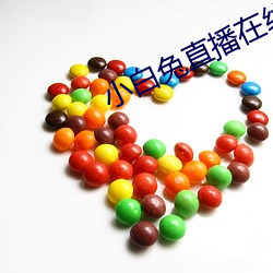 小白兔直播在线官网下载