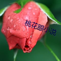 桃花眼小說