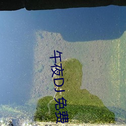 午夜DJ 免费