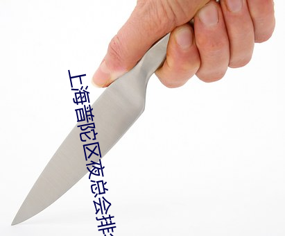 上(shàng)海普(pǔ)陀(tuó)区夜总会排名(míng)