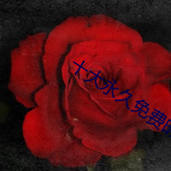 十大永久免費的軟件下載