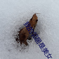 我的邻居是美女