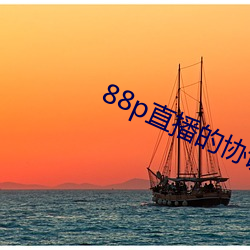 88p直播的協議是什麽