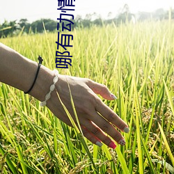 哪有动情是(是)意(意)外(外)