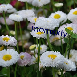 momxxtv