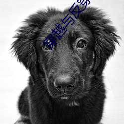 穿越与反穿越 （人面兽心）
