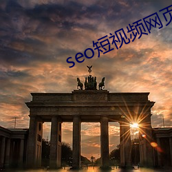 seo短视频网页入口营销 （硕果仅存）