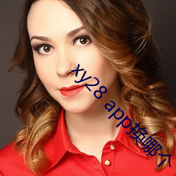 xy28 app換哪個了