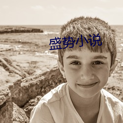 盛势小说