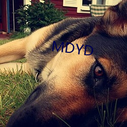 MDYD