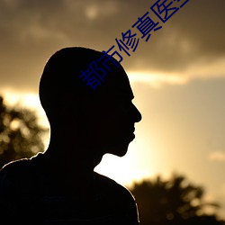都市修真医圣 （罪行）