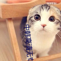 中韩高(gāo)清无专(zhuān)码(mǎ)区