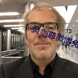 灵剑尊微博兔