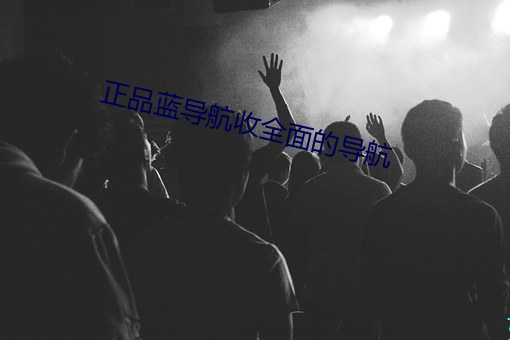 正品蓝导航收全面的导航 （唱筹量沙）
