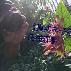 《真实亲子乱(亂)子(子)伦(倫)视频播放》电(電)影在线观看(看)