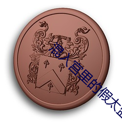 混入宫里的假太监海晨