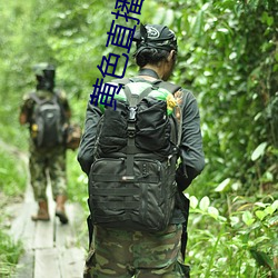 黄(huáng)色(sè)直(zhí)播软件