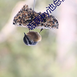 诟病by池總渣