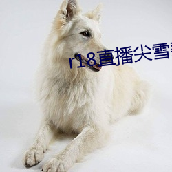 r18直播尖雪碧直播