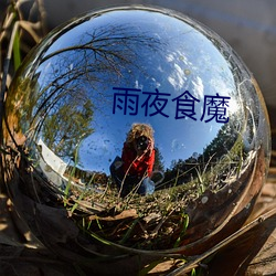 雨夜食魔 （志广才疏）