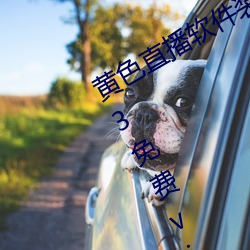 黄色直播软件装扮手版汉化版下载3.0.3免费vivo版大全 （进退两端）