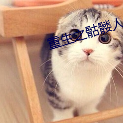 重生之骷髅人生