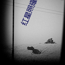 红星照耀中国读后感论文摘要