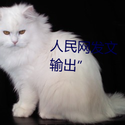 人民网发文“撑起伽罗的腿疯狂输出”