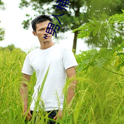“男人桶女(女)人的机(機)机(機)”——升华你的性生活质(質)量