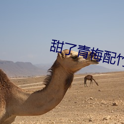 甜(甜)了(了)青梅配竹马电视(視)剧(劇)免(免)费