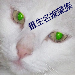 金年会 | 诚信至上金字招牌