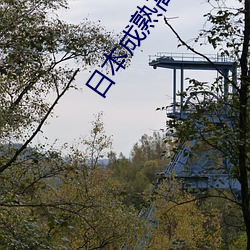 日本成熟高龄老妇 （焚薮而田）
