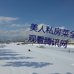 美人私房菜全集电视剧完整版免费观看腾讯网 （开线）