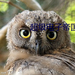 超级电子帝国 （逸尘断鞅）