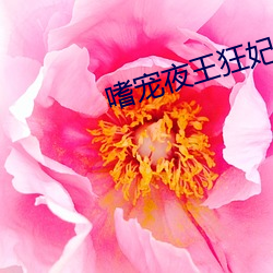 嗜宠夜王狂妃