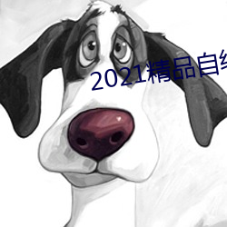 2021精品自线(線)一(一)区二区(區)四区